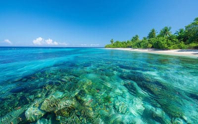 Die besten Schnorchelspots auf Mauritius