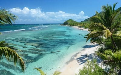 Discovery of Ile aux Bénitiers: A Tropical Paradise
