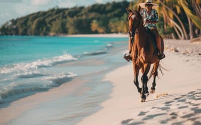 Reiten am Strand auf Mauritius: die schönsten Ausritte am Meer