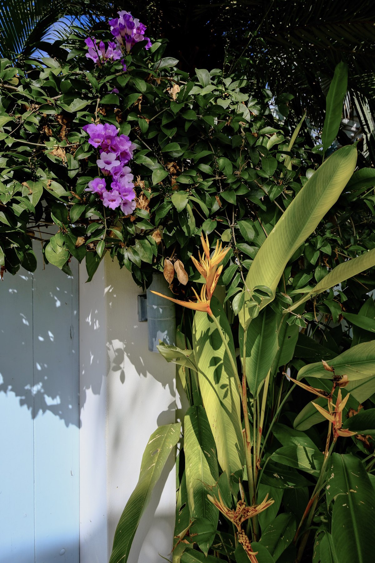 Espace Jardin