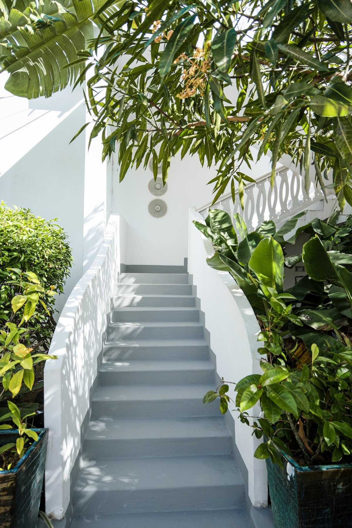 Espace Jardin