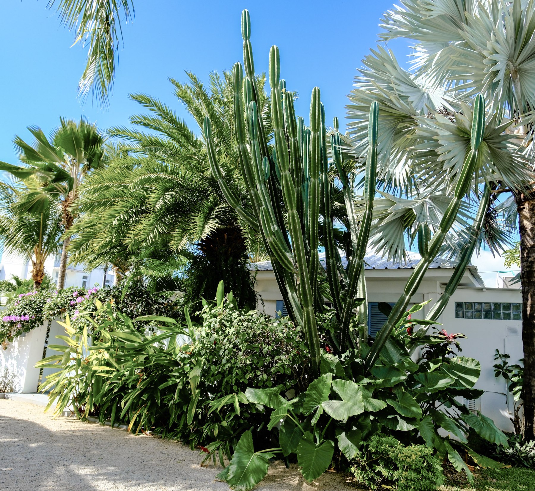 Espace Jardin