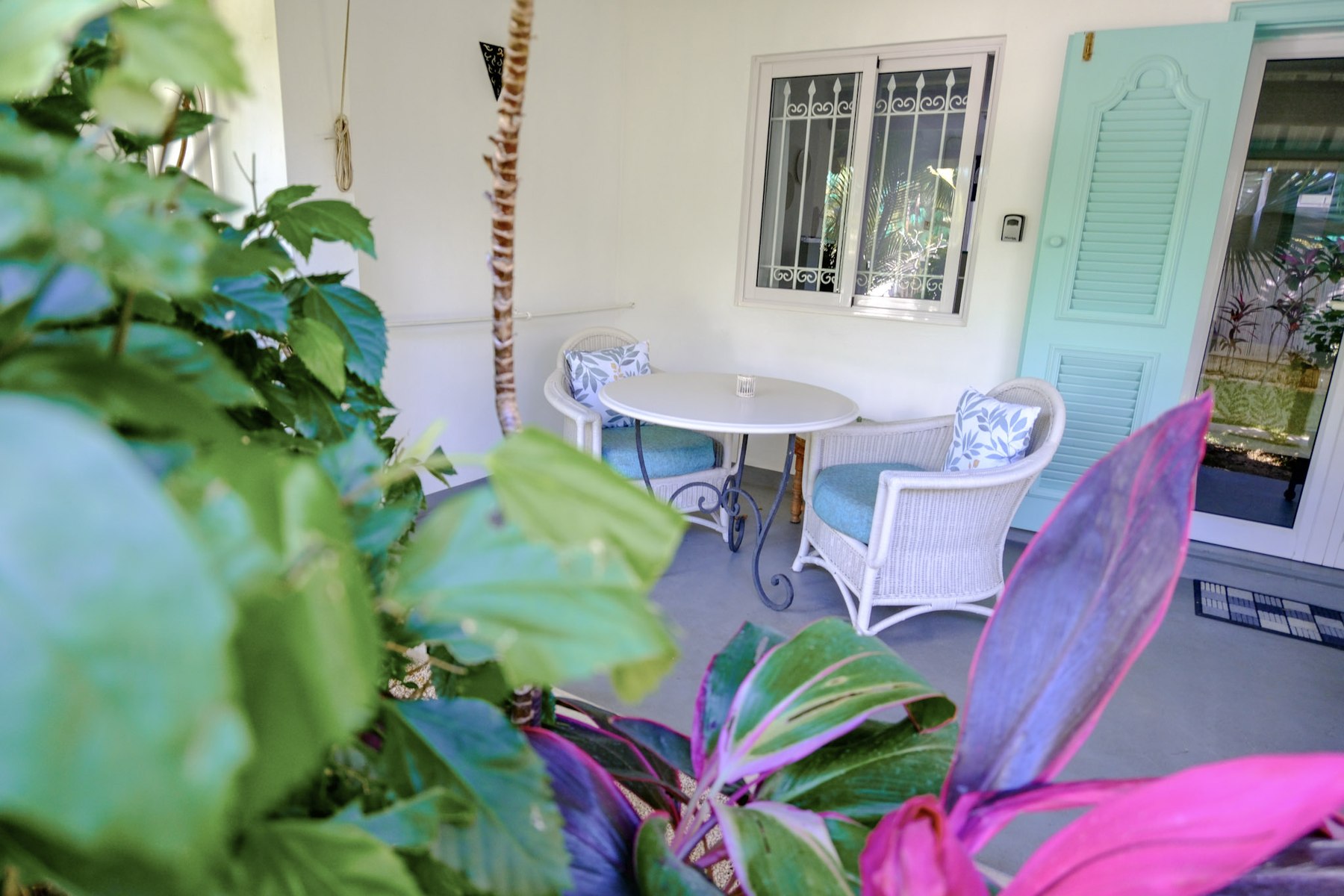 Tropical Room