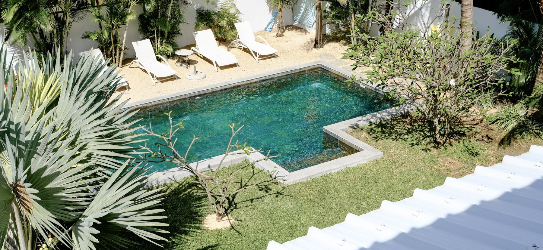 Tropical Suite